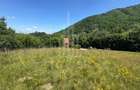 Teren Construcții intravilan de 4600 mp, în Cisnădioara - 8