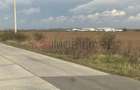 Teren de vanzare - 22800mp - Parc Industrial km 23 - 6