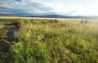 Teren agricol intravilan de 1022 mp, în Cristian - 5