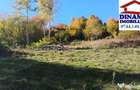 3600 mp teren intravilan, sat Bistrita, 12 Euro/mp - 4