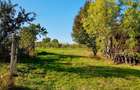 Casă individuală cu 3 camere cu Teren 6000 Mp în Gliganu de Sus - 7