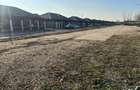 Teren Construcții intravilan de 12000 mp, în Tunari - 2