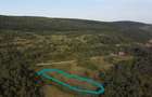 Vand teren extravilan in sat Micesti - 8