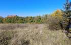 Teren Construcții de 1000 mp, în Hărman - 3