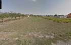 Teren intravilan de 1000 mp, în Cișmele - 1