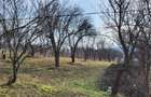 Teren Intravilan 43Ari zona Ortelec-Zalau intre case 4800eur/ar - 5