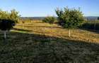 Casă în Aurel Vlaicu - 10