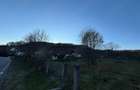Teren intravilan de vanzare - 5