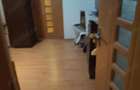 Vand apartament Malu Rosu - 8