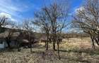 Casa cu Teren Extins Liniste, Natura si Spatiu Generos - 3