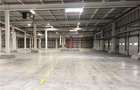 Depozit/hala/spatiu industrial Chiajna - A1 - Centura - 6