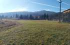 Teren de vanzare in Bucovina - 16