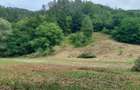 Vand teren +casu?a in zona de munte