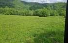 Teren de Vanzare 15000m2 - 2