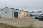 Hala industriala + sere + active business de vanzare Arges - 4