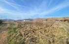Teren Intravilan Sard, 13000mp - 1