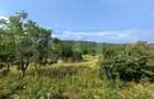 Teren intravilan, de vanzare, 1252 mp, zona Arghires - 1