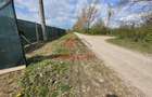 Teren extravilan in Baicoi 10.000mp plantatie mure --80.000e - 6