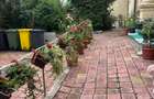 Casă cu 4 camere cu Teren 500 Mp în Exterior Vest - 6