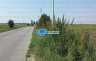 Teren Intravilan Herasti Giurgiu 2 HA - 6