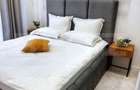 Apartament cu 2 camere, modern/lux, zona Brazda curte privata - 12