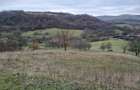Teren intravilan in zona de dealuri 67000mp - 1