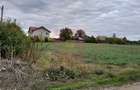 COSERENI (IL) - SE VINDE TEREN 2000 MP LA SOS BUCURESTI -URZICENI - 11