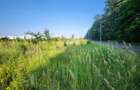 Teren Construcții extravilan de 2000 mp, în Băneasa - 2