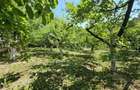 Casă individuală cu 5 camere cu Teren 2000 Mp în Nord - 18