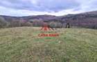 Teren extravilan Valea Doftanei 20.500 mp 6e mp - 4
