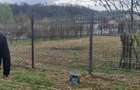 Teren intravilan Bughea Valenii de Munte,Ph - 1