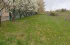 Vand teren intravilan 7200 mp - 1