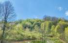 Teren vedere panoramica lacul Paltinu si dealuri in Valea Doftanei - 5