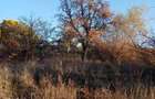 Teren mixt de vanzare, 5296 mp, acces asfaltat - 11