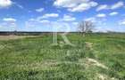 Teren intravilan | Le? | Bihor - 3