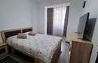 Apartament 2 camere , zona Porii - 3