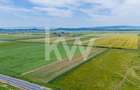 Teren agricol de 6214 mp, în Hărman - 19
