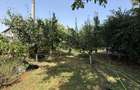 Casă cu 7 camere cu Teren 1509 Mp în Bolintin-Vale - 16