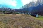 Teren Construcții intravilan de 1195 mp, în Făget - 5