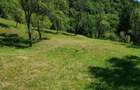 Vand teren extravilan Arefu - 6