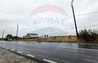 Teren extravilan de vanzare in Frumusani, acces direct DN4 - 3