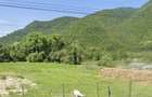 Teren intravilan 3.274 mp in Poiana Ilvei parau la limita, utilitati, acces DJ 172D - 4