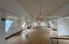Spa?iu birouri, 460 mp, zona P-?a 1 Mai - 6
