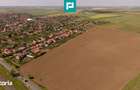 Teren extravilan de 28500 mp langa ?ofronea - 5