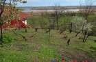 ID 7852 Teren pentru casa - Strada Orizontului - 3