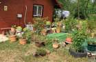 Casă individuală cu 2 camere cu Teren 2000 Mp în Surani - 8