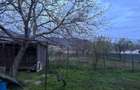 Casă cu 4 camere cu Teren 1700 Mp în Greci - 6