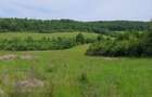 Teren extravilan de 44500 mp, în Nadăș - 2