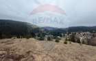 Teren de vanzare in inima Apusenilor 6.500 mp Arieseni - 11