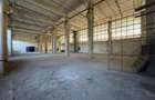 Hala de la 1000mp la 8372mp, zona Vama Iasi - Fortus - 7
